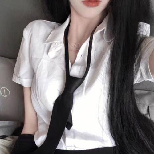 美国派2